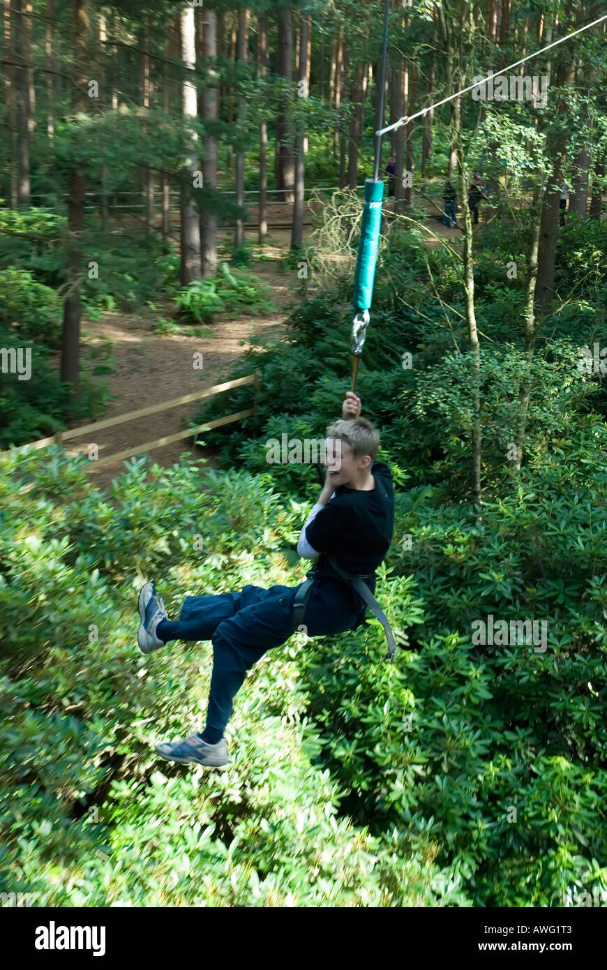 Nino De Tarzan Swing En Go Ape Alambre Alto Aventura Forestal Curso Swinley Forest Bracknell Berkshire Inglaterra Meridional Bretana Uk Fotografia De Stock Alamy