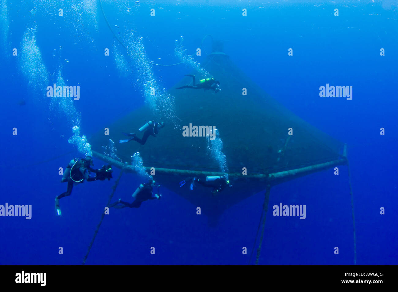 Jack kona Fotos e Imágenes de stock Alamy