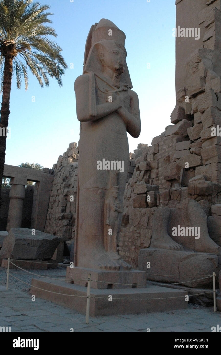 Estatua de Ramsés el Grande, Templo de Karnac, Luxor Egipto temprano en la mañana Foto de stock