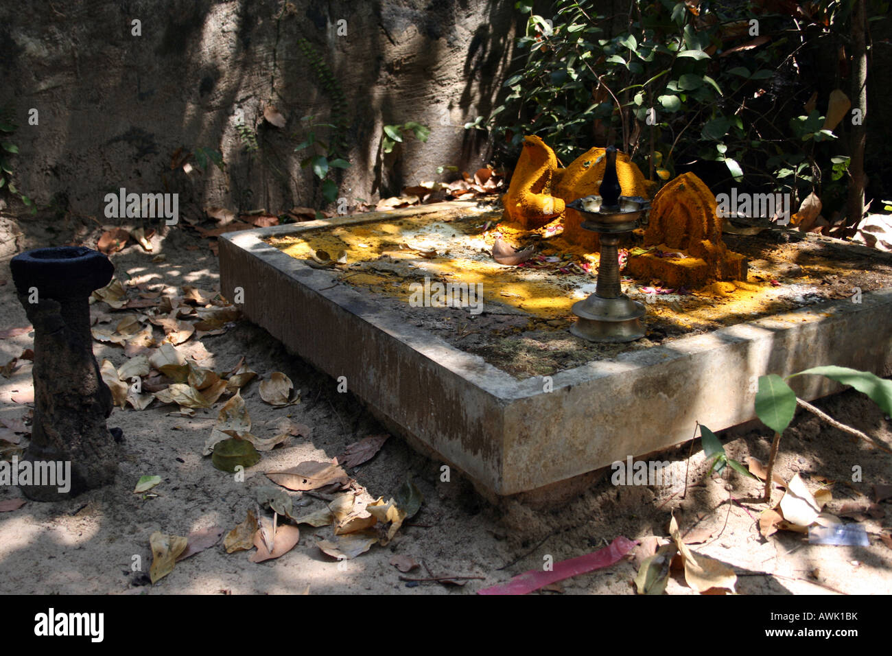 La arboleda sagrada en Kerala Fotografía de stock Alamy