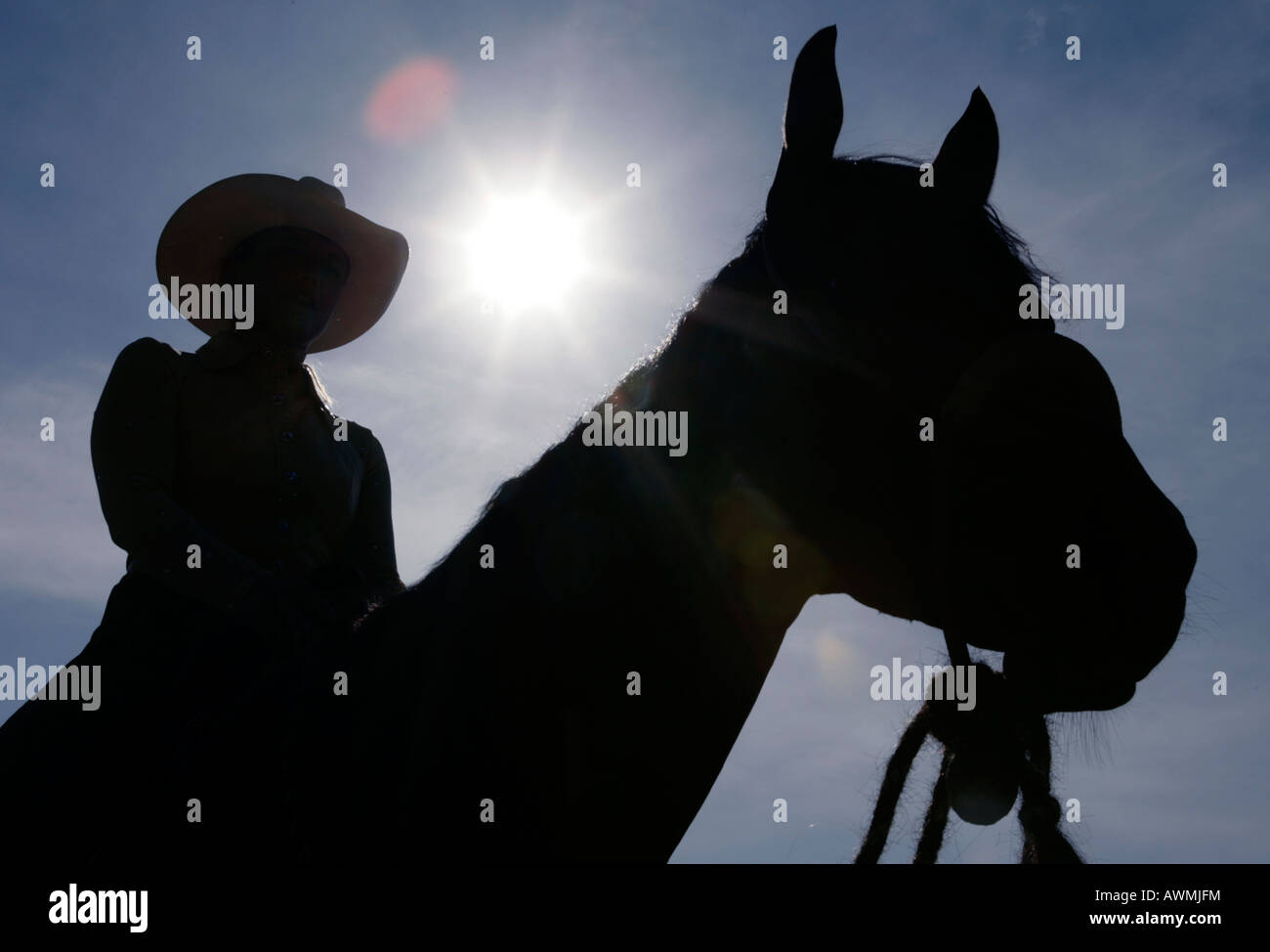 Silueta de un caballo con jinete con sombrero de cowboy delante del sol deslumbrante Foto de stock