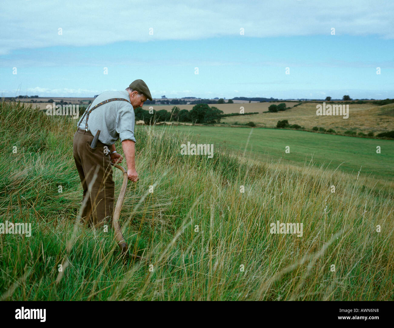 Utilizando una guadaña sobre pasturas en el Lincolnshire wolds Foto de stock