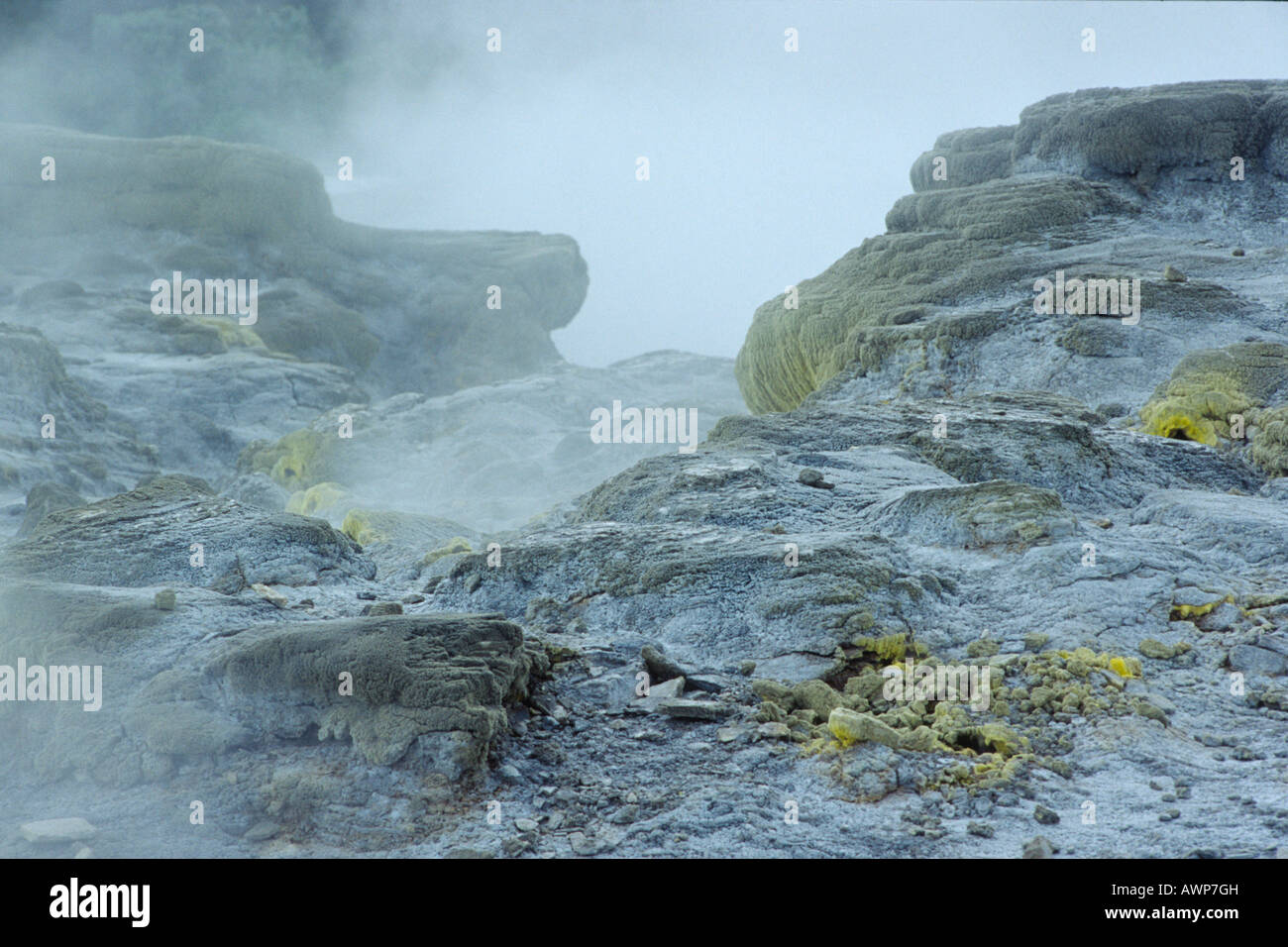 Los depósitos de azufre y vapor, Wai-O-Tapu geotérmica región, Isla del Norte, Nueva Zelanda, Oceanía Foto de stock