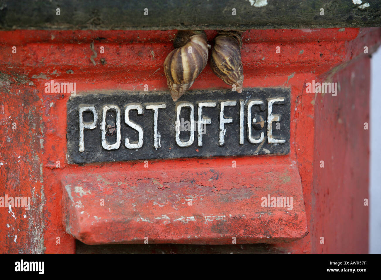 Los caracoles sentado sobre una carta de verificación en Sri Lanka, Asia Foto de stock