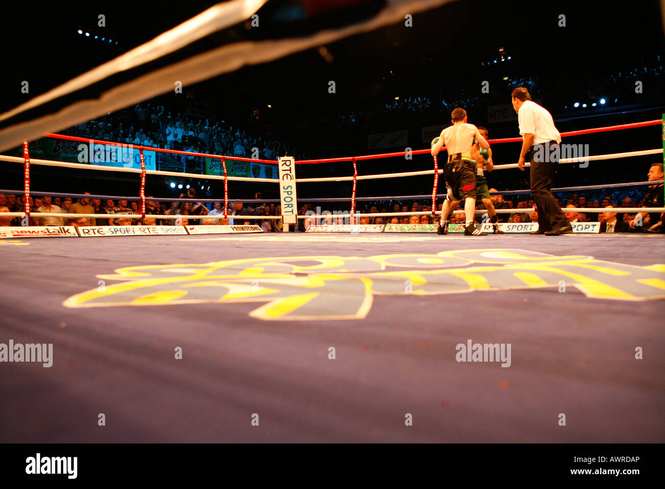 Combate de boxeo mostrando un boxeador perforado el otro en el lado lejano del anillo con el árbitro mira. Foto de stock