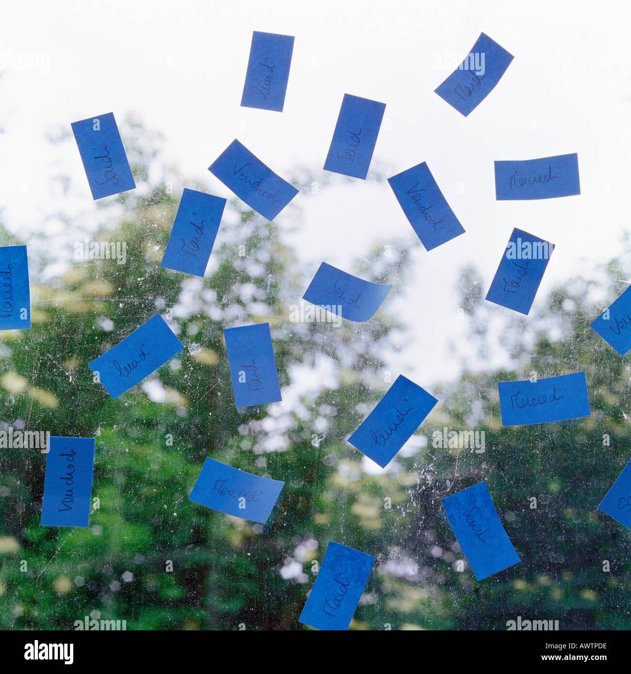 Adhesivo azul notas sobre el panel de cristal Foto de stock