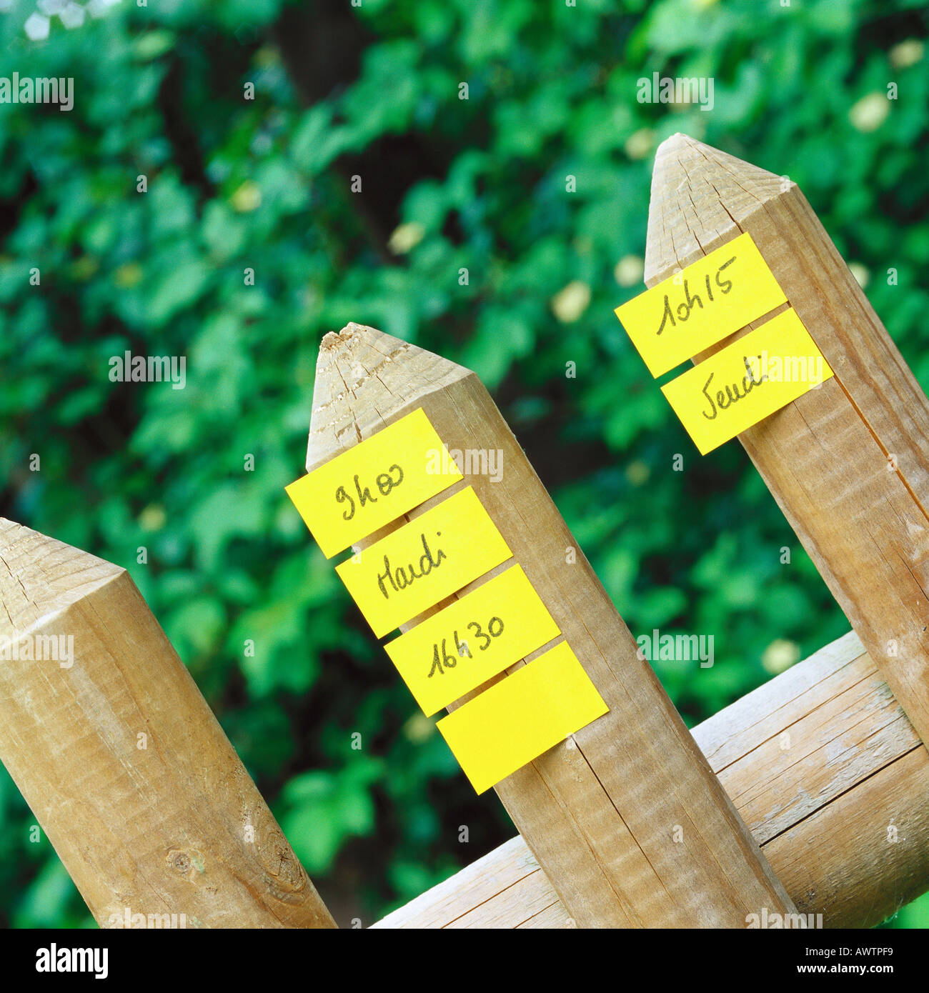 Notas adhesivas amarillas sobre postes de madera Foto de stock