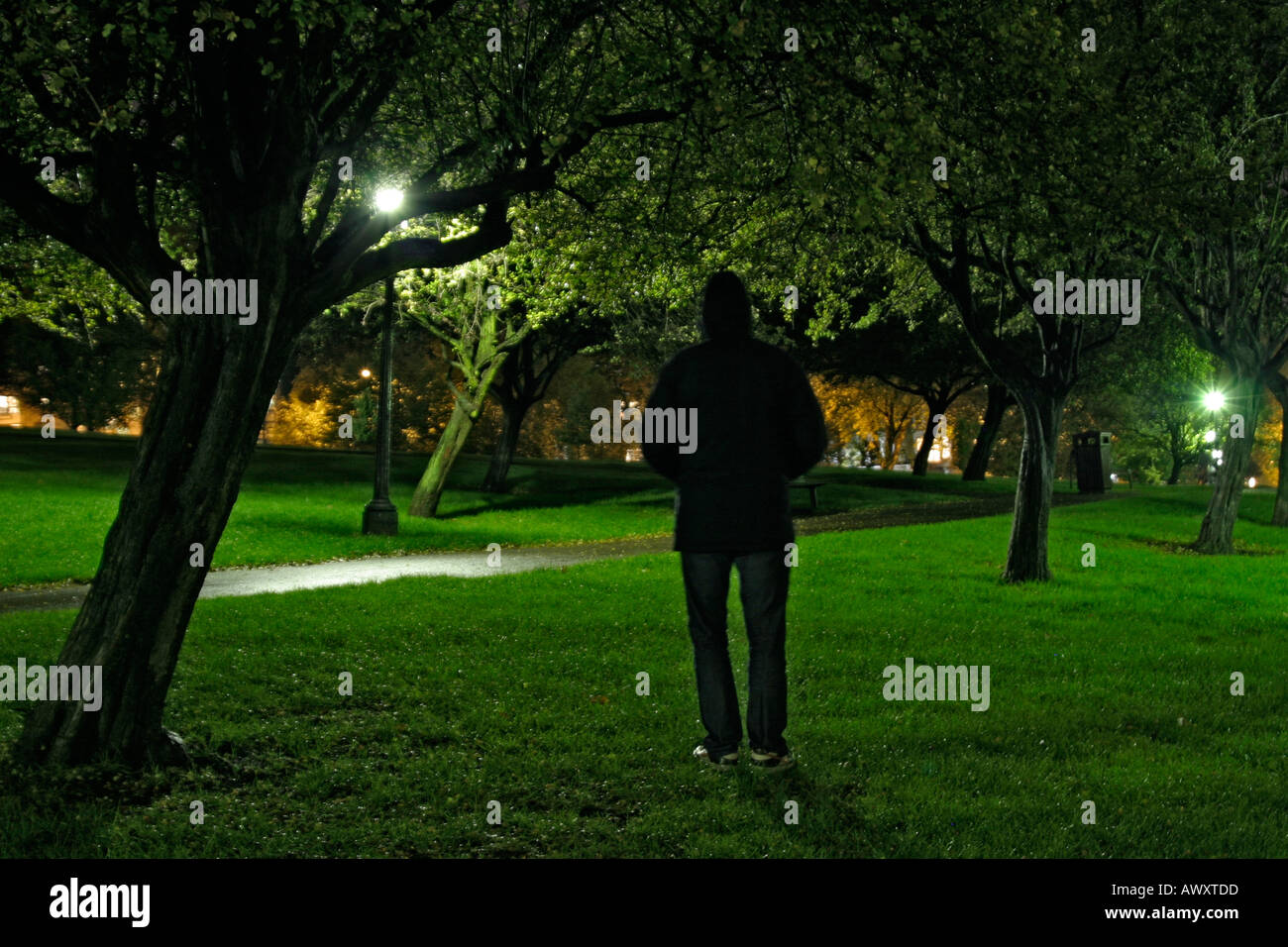 El hombre estaba debajo de un árbol en un parque por la noche, mirando hacia un camino y las luces de la calle Foto de stock