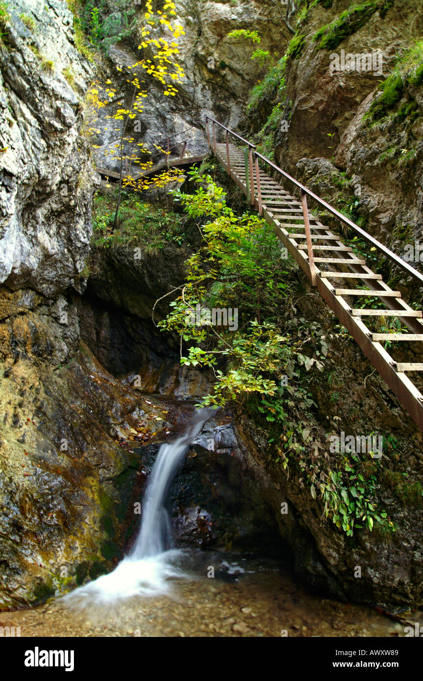 Las escaleras y las cascadas de Horne Diery otoñal Gorge, Mala Fatra cordillera, Eslovaquia Foto de stock