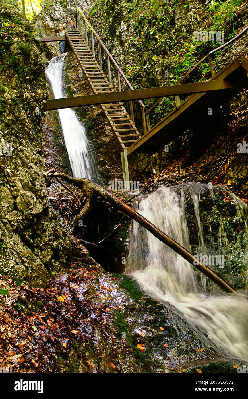 Las escaleras y las cascadas de Horne Diery otoñal Gorge, Mala Fatra cordillera, Eslovaquia Foto de stock