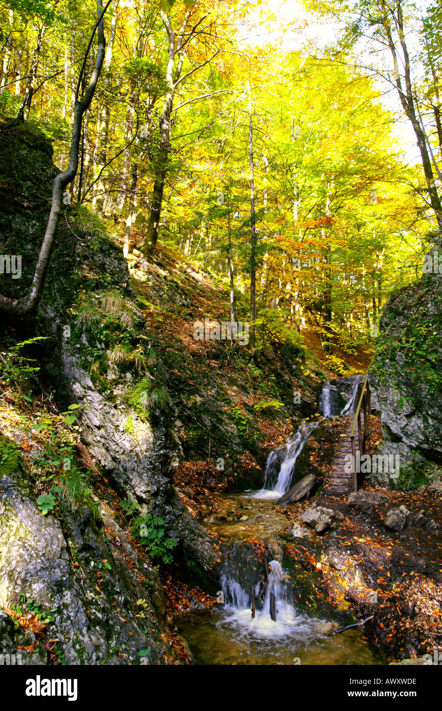 Cascadas de Horne Diery otoñal Gorge, Mala Fatra cordillera, Eslovaquia Foto de stock