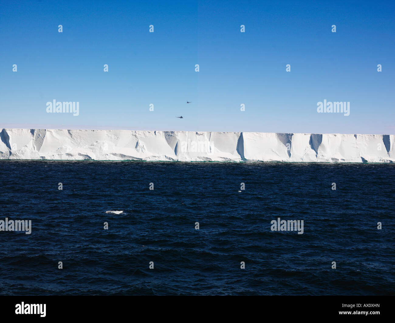 Plataforma de Hielo de Ross, edge que van desde los 40 hasta los 80 metros (130-260 pies) de alto, con dos helicópteros sobrevolando, la Antártida Foto de stock