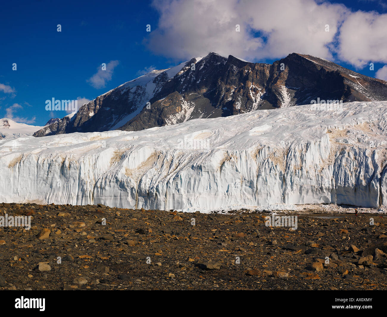 El Glaciar Canadá Valle Taylor, de los valles secos de McMurdo, en la Antártida Foto de stock