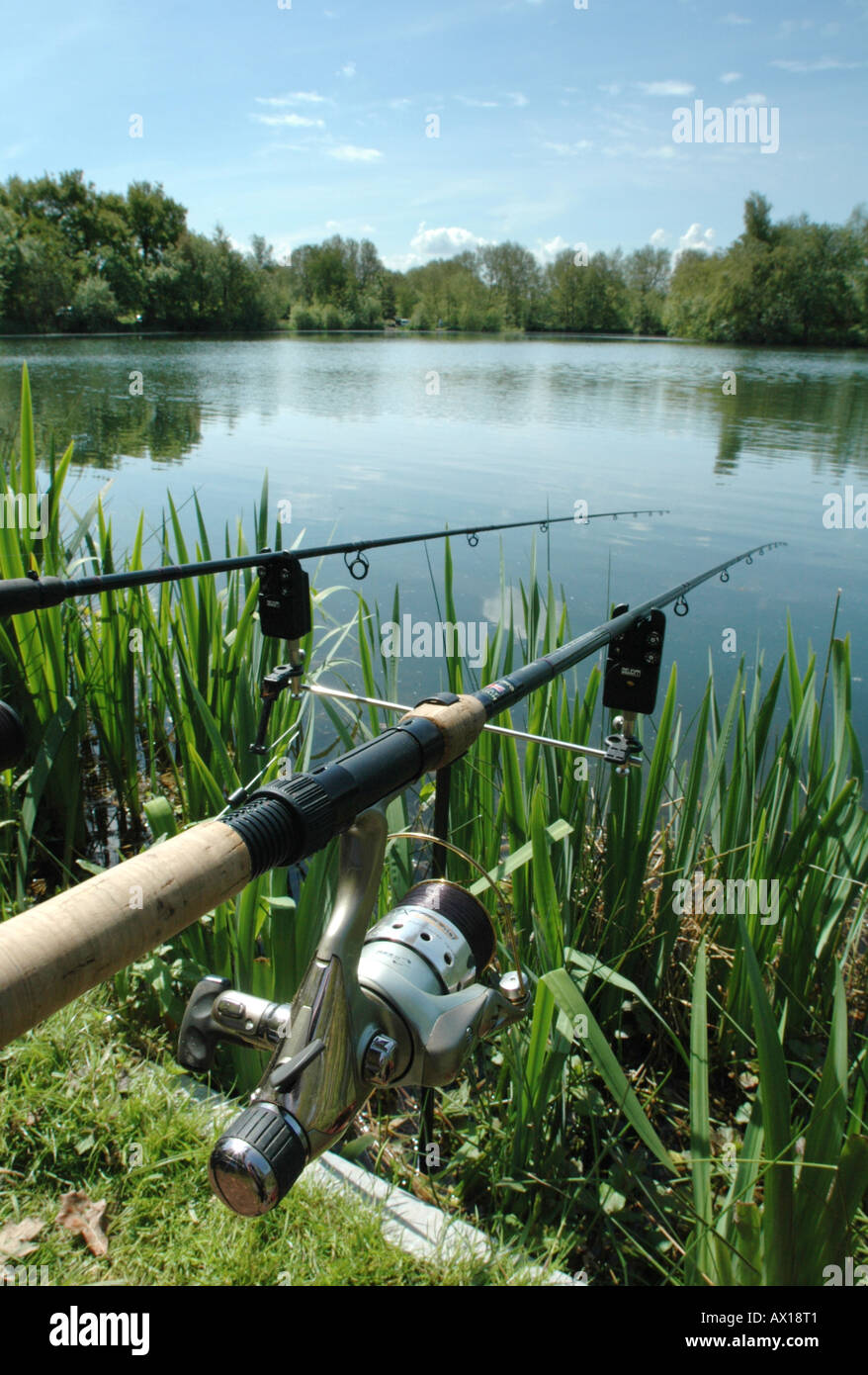 Pesca Deportiva En Gran Caridad Witchingham Lagos Norfolk Uk Fotografia De Stock Alamy Pesca Deportiva En Gran Caridad Witchingham Lagos Norfolk Uk Fotografia De Stock Alamy