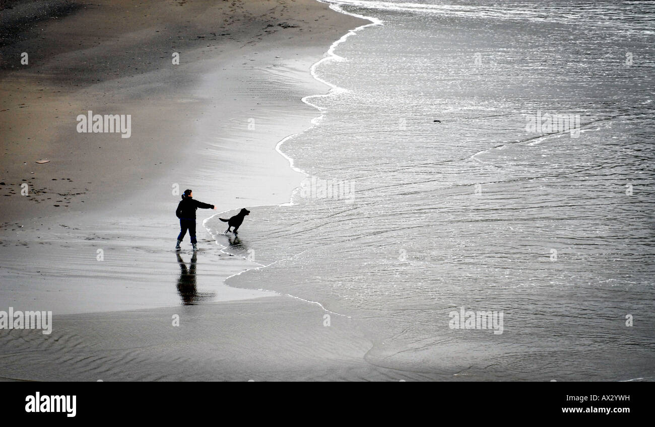 Un perro Walker en la playa cerca de BIGBURY CHALLABOROUGH SOBRE MAR DEVON Inglaterra, Reino Unido. Foto de stock