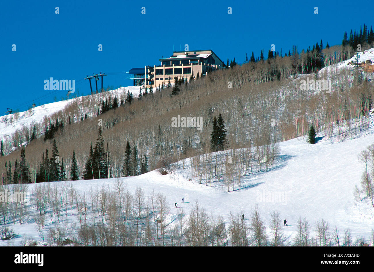 Thunderhead Lodge esquiadores de esquí Ski Run cilíndr trail Steamboat Springs CO EE.UU. Foto de stock