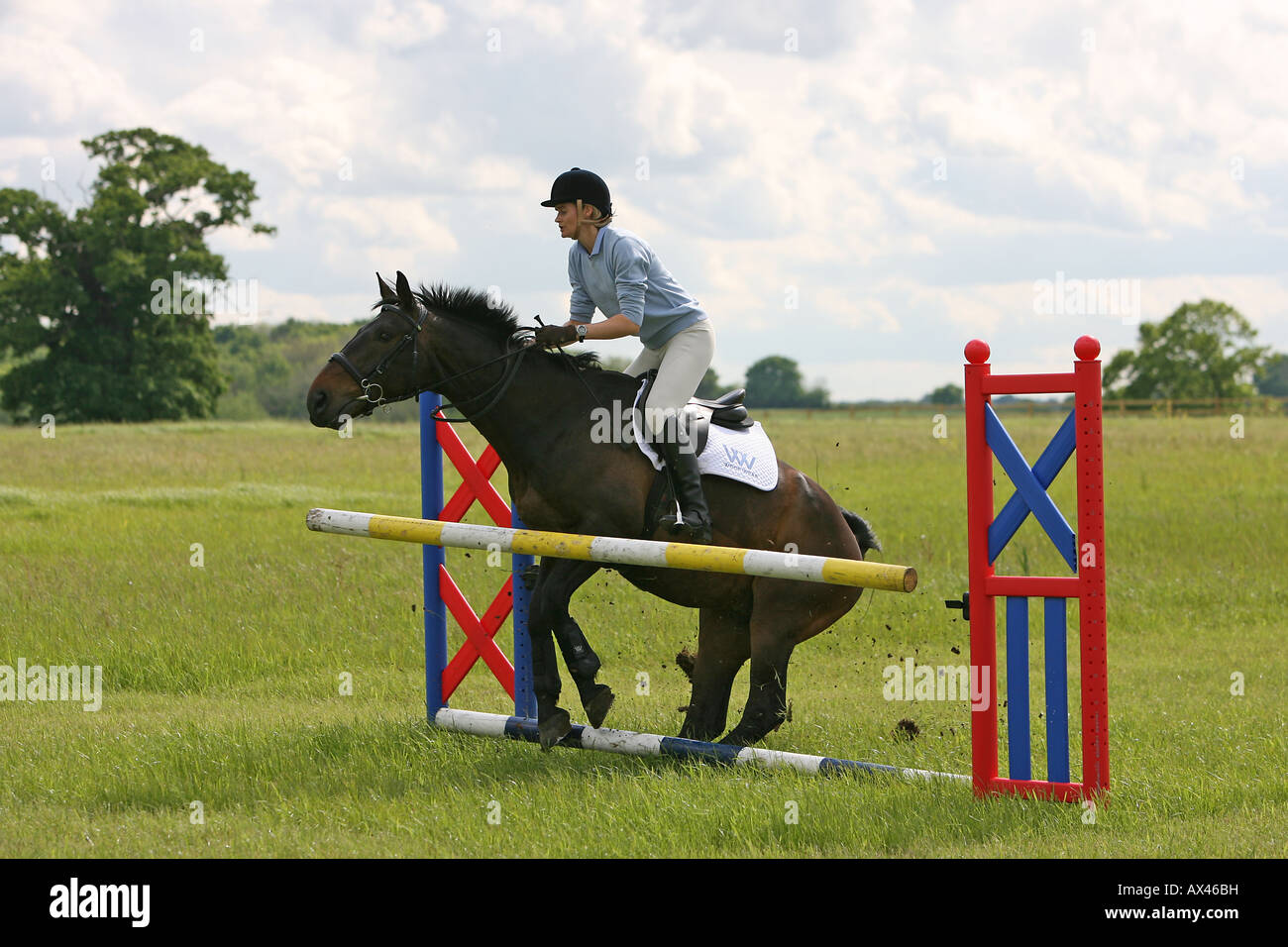 Una mujer y su caballo derribar un salto en una escuela de equitación