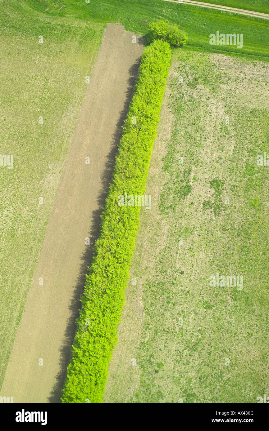 Vista aérea de un seto separting dos campos en un entorno rural Foto de stock