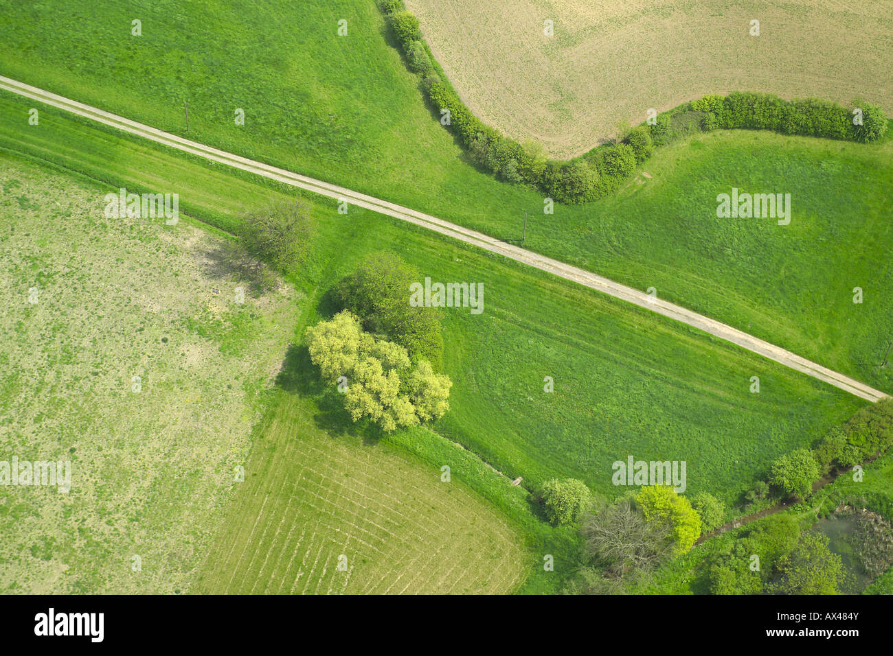Vista aérea de una granja en la pista junto a un seto y algunos árboles Foto de stock