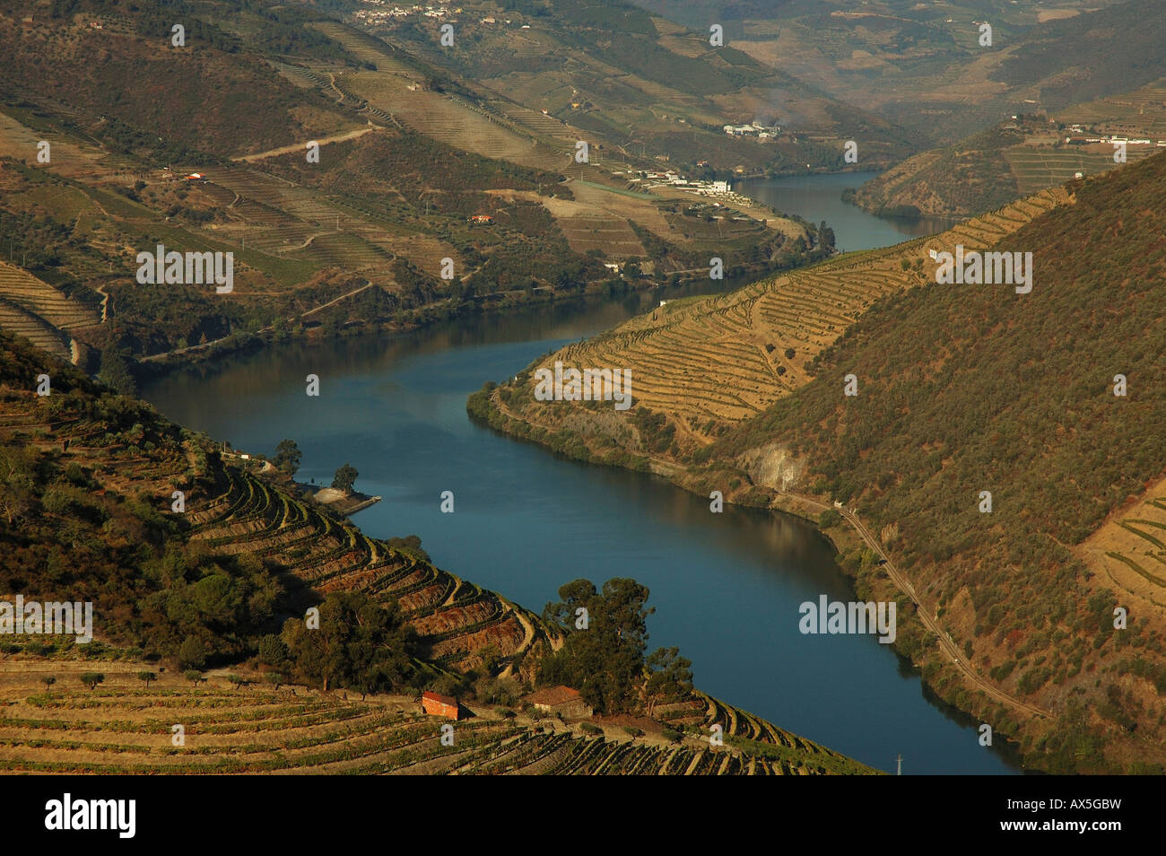 Región vitivinícola en el valle del Douro, Pinhao, Región de Douro, Portugal, Europa del Norte Foto de stock
