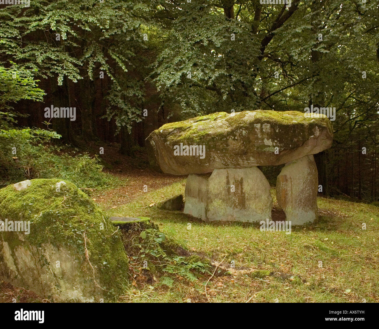 Gwal y Filiast Dolmen cerca Llanboidy en Carmarthenshire, Gales.Woodland sitio encantado. También llamado Arthur's Table. Foto de stock