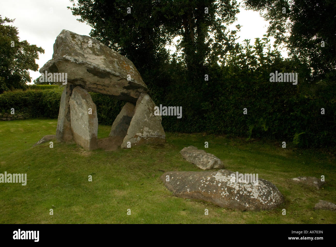Carreg Coetan Arthur cámara mortuoria (Dolmen) en Newport, Gales pembrokeshire cerca carn Ingli. Foto de stock