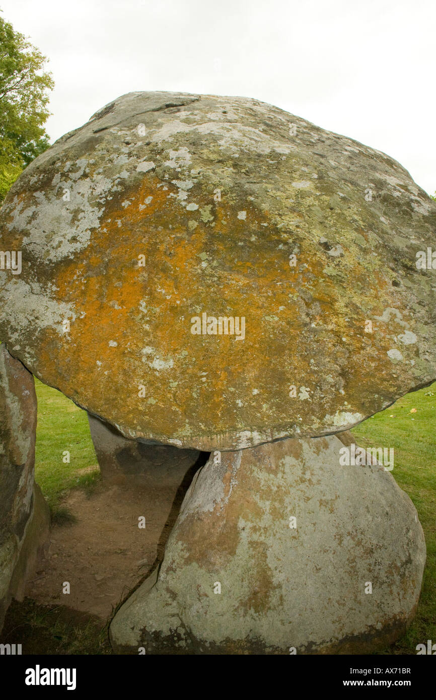 Carreg Coetan Arthur cámara mortuoria (Dolmen) en Newport, Gales pembrokeshire cerca carn Ingli. Closeup Stone Foto de stock
