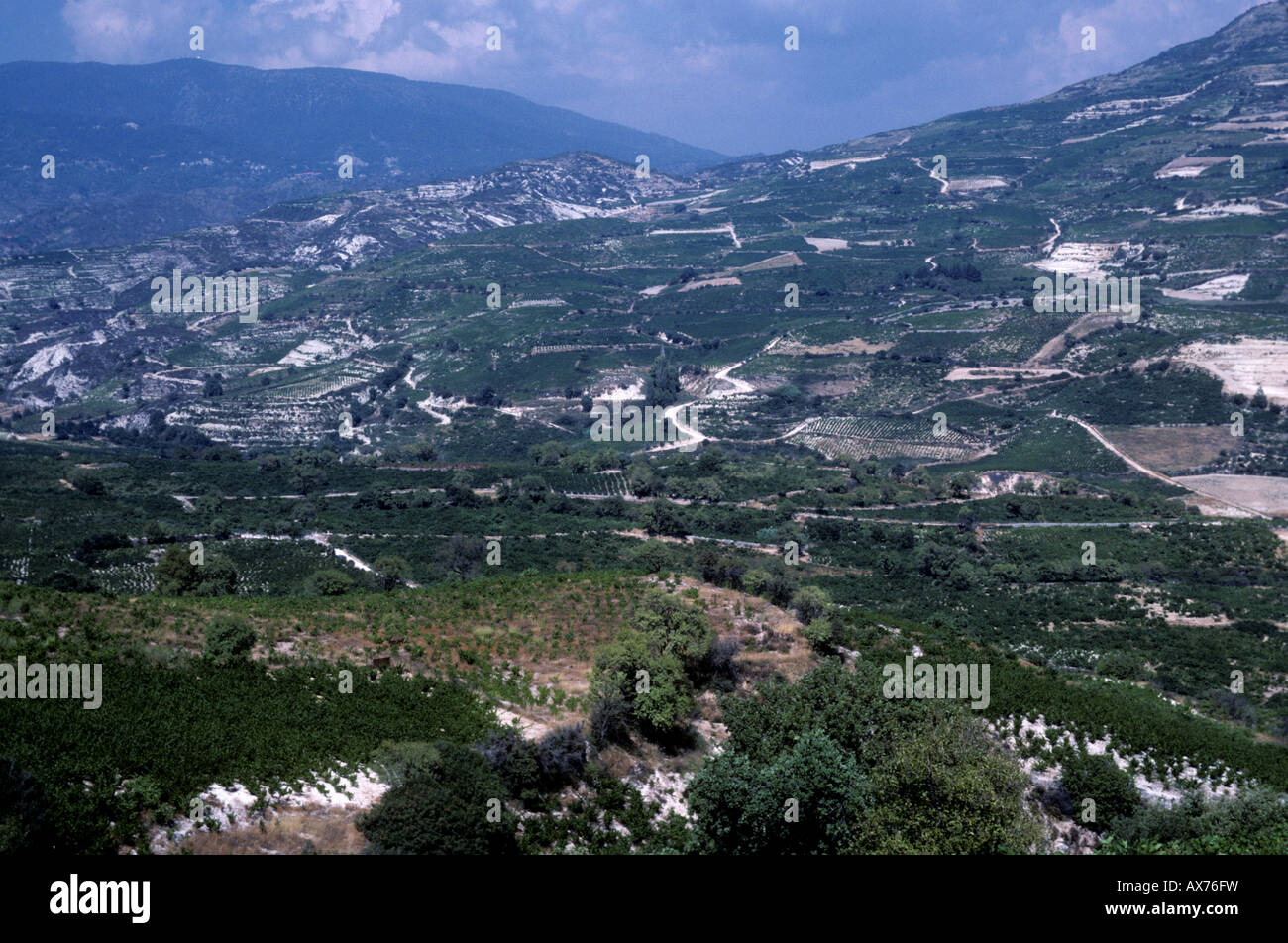 Viñedos y áridas tierras de cultivo cerca de mediados del verano Tsada Chipre Foto de stock