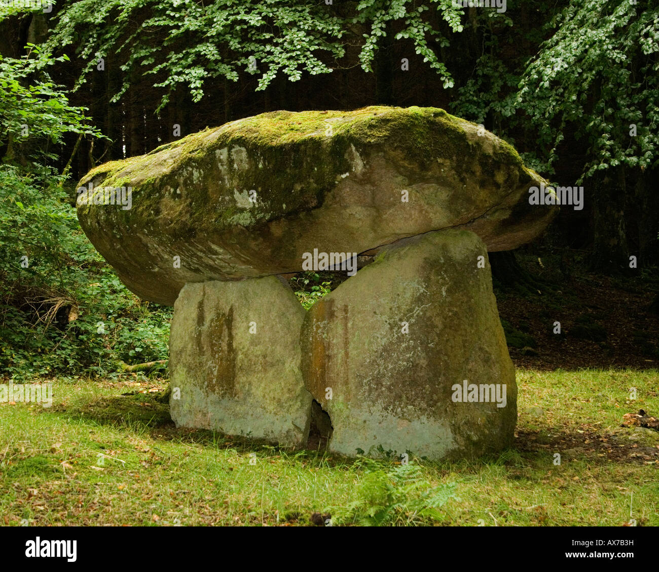 Gwal y Filiast Dolmen cerca Llanboidy en Carmarthenshire, Gales.Woodland sitio encantado. También llamado Arthur's Table. Foto de stock
