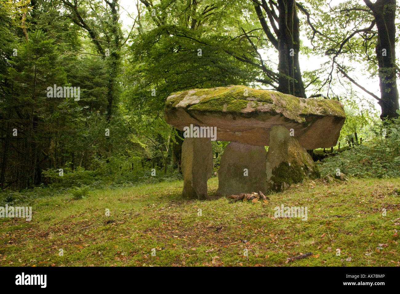 Gwal y Filiast Dolmen cerca Llanboidy en Carmarthenshire, Gales.Woodland sitio encantado. También llamado Arthur's Table. Foto de stock