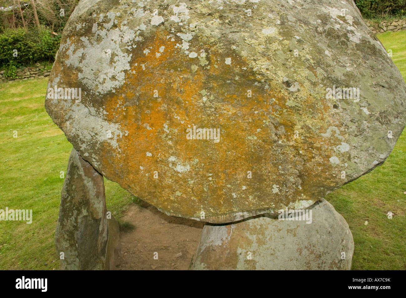 Carreg Coetan Arthur cámara mortuoria (Dolmen) en Newport, Gales pembrokeshire cerca carn Ingli. Closeup stone Foto de stock