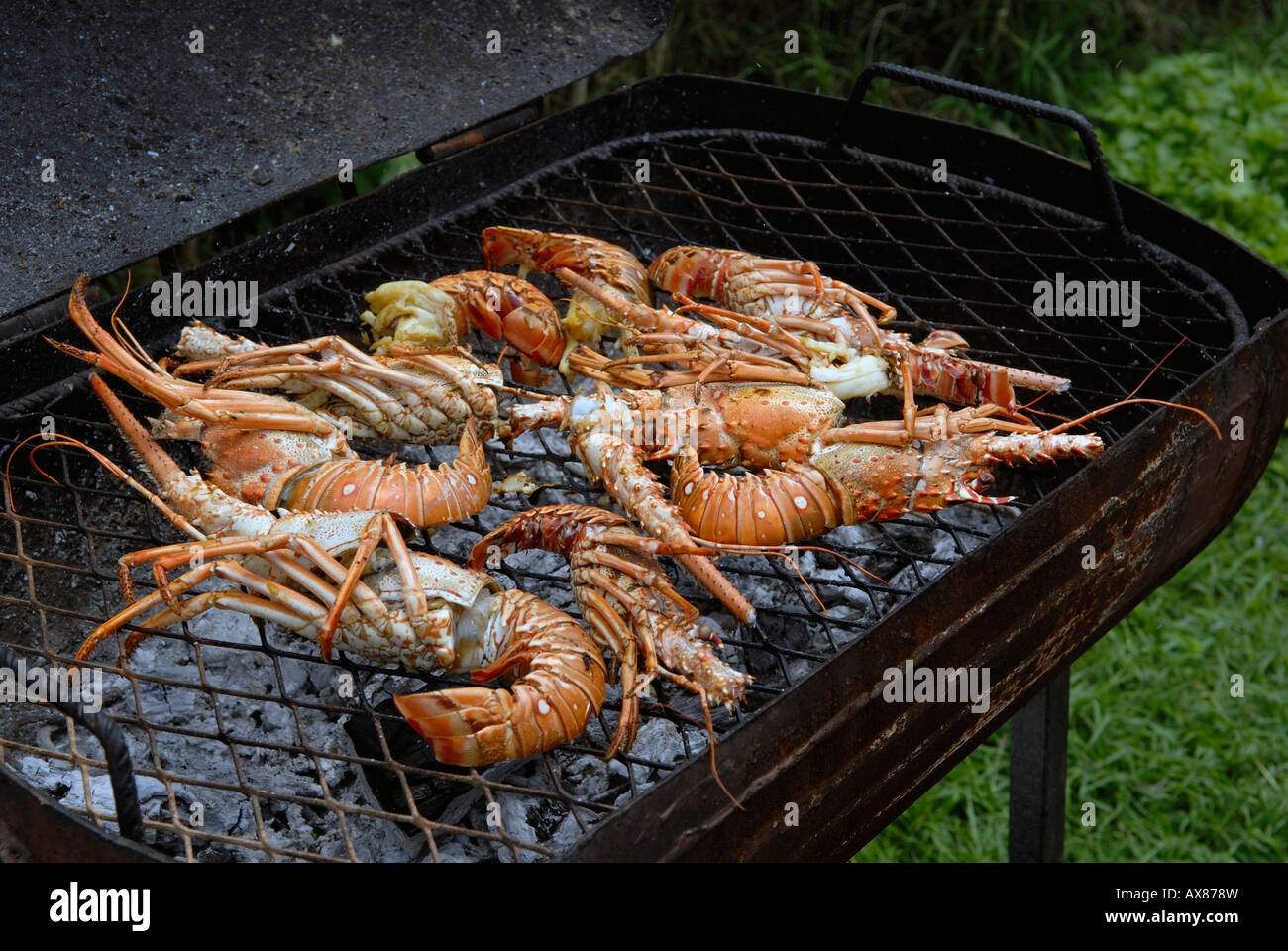 Langosta en una barbacoa Foto de stock