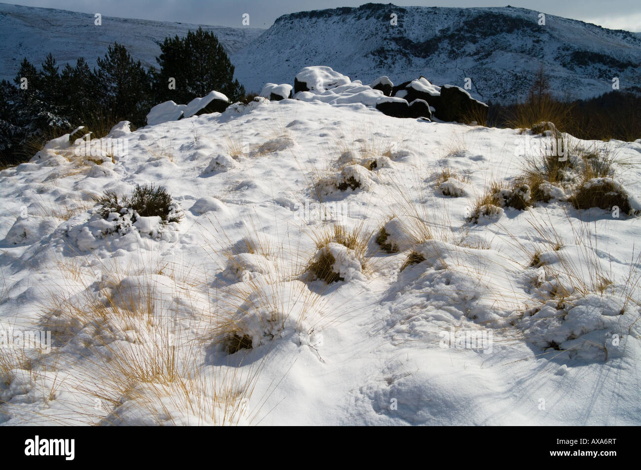 Los pastos y la nieve con montes Apeninos detrás de Saddleworth, Foto de stock