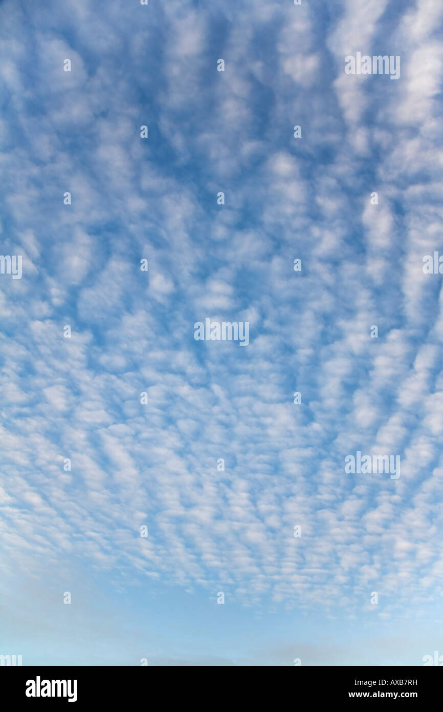Altocúmulos nubes blancas en el cielo azul del verano y el sol Foto de stock