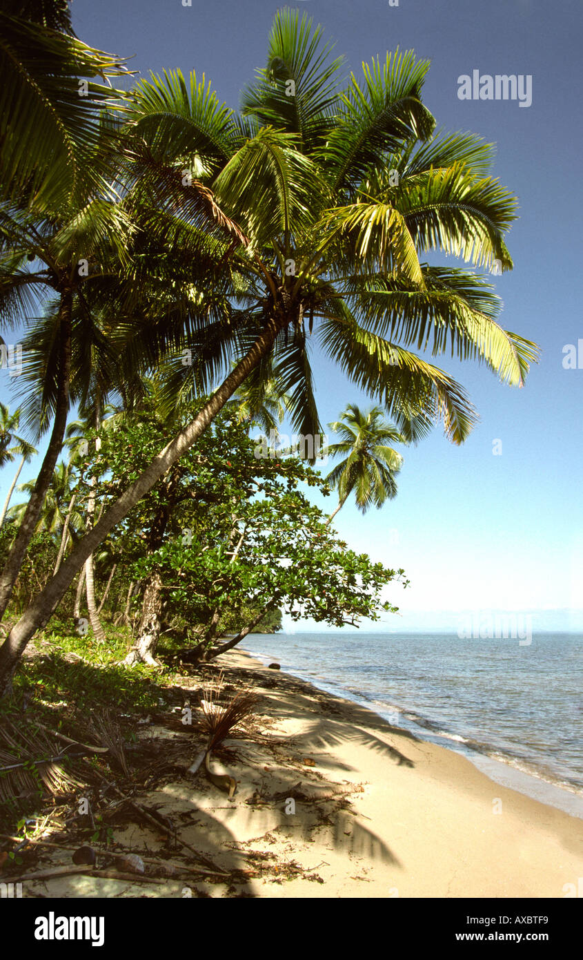 Guatemala Costa Caribe Cocoli desierta playa Foto de stock