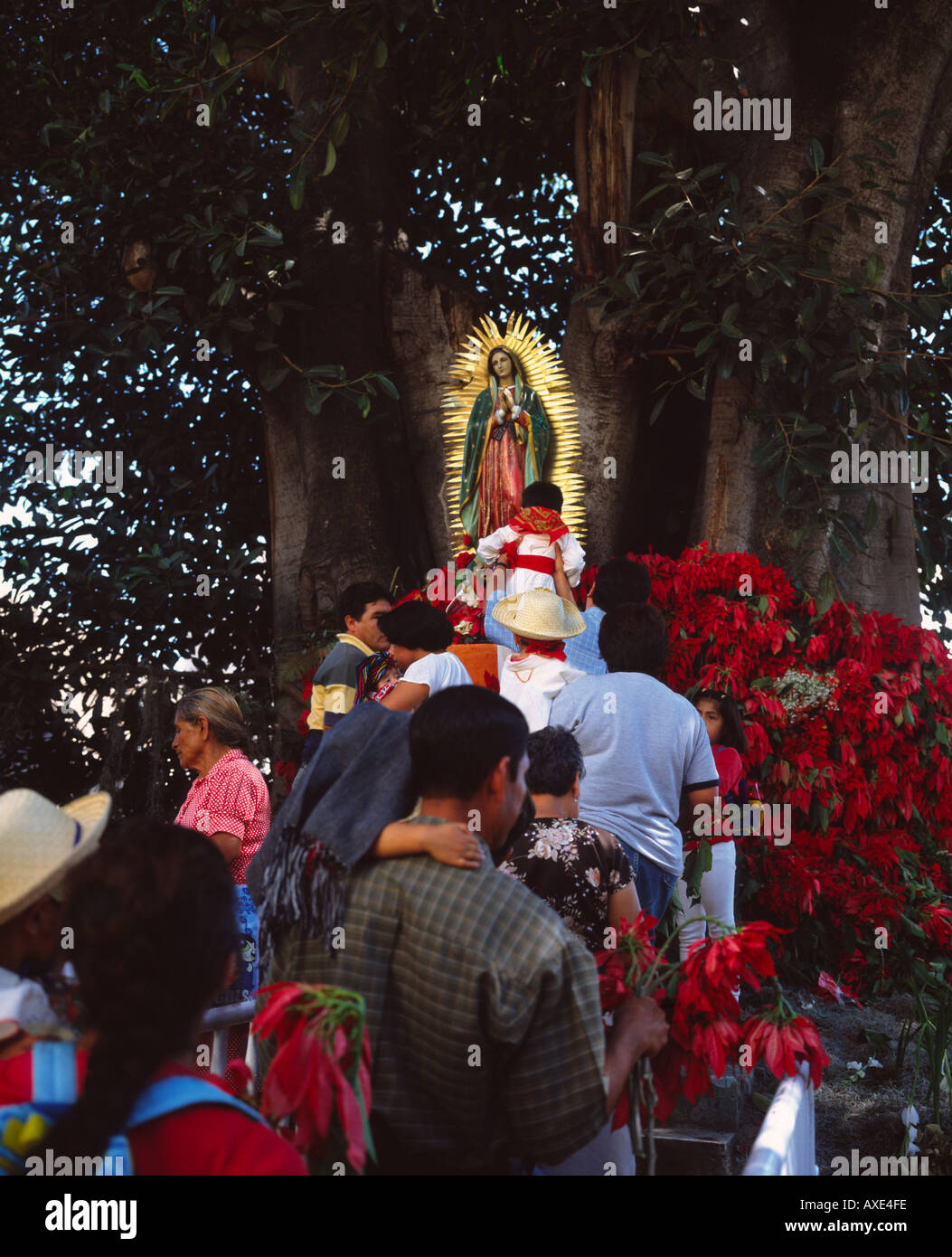 Niños vestidos de Juan Diego en colas para ver la estatua de la Virgen en  la fiesta de la Virgen de Guadalupe Oaxaca México Fotografía de stock -  Alamy