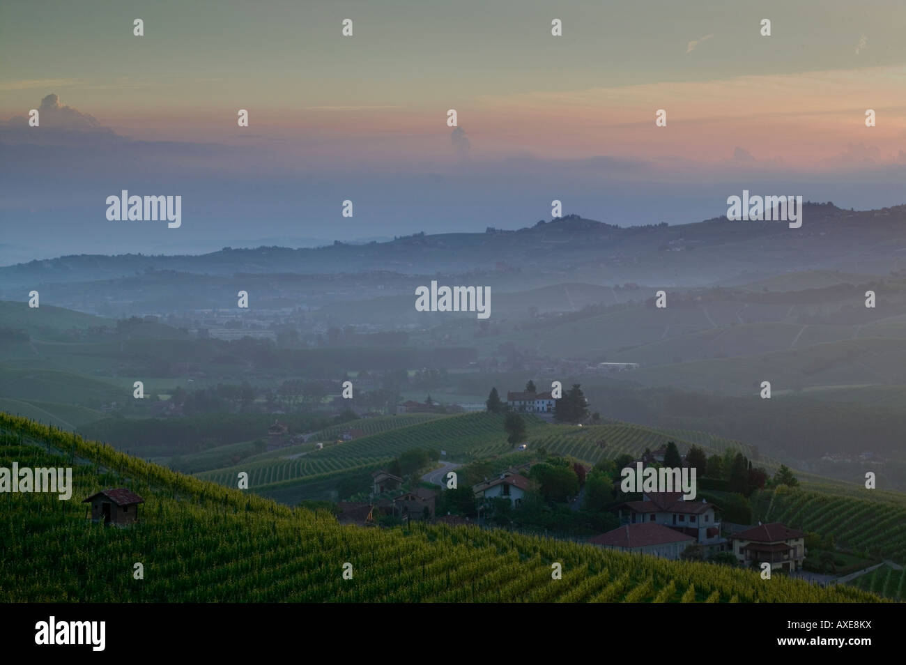 Barolo viñedos alrededor del pueblo de Barolo Piedmont Italy Foto de stock