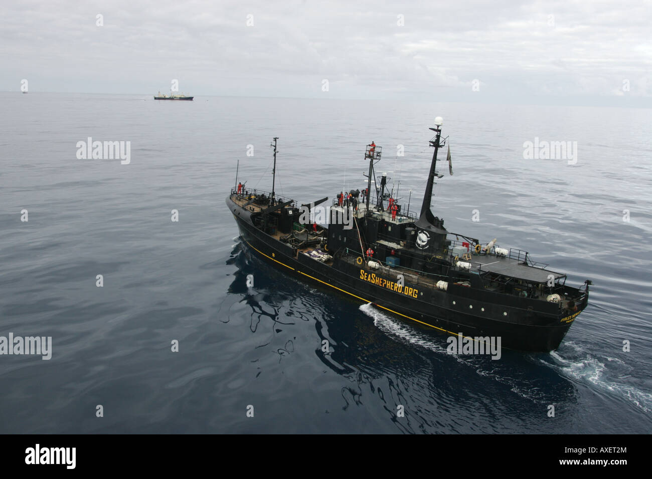 La organización Sea Shepherd buque Farley Mowat, acercándose a la flota ballenera japonesa en el Océano Austral. 2006 Foto de stock