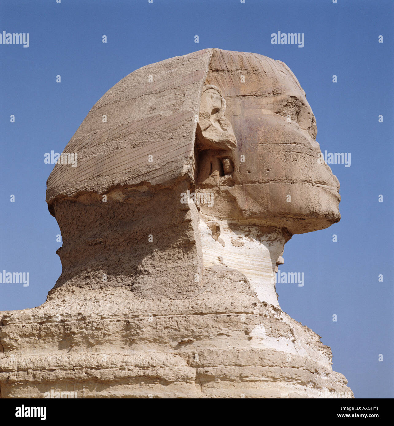 El jefe de la Gran Esfinge de Giza El Cairo Egipto África del Norte Foto de stock