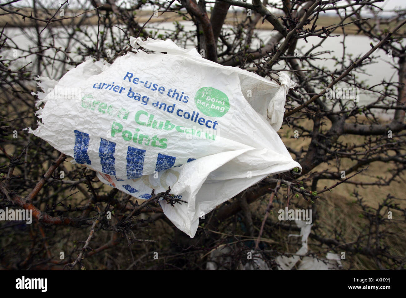 Una bolsa de plástico fundido desde un sitio de relleno en el sello Sands cerca de Cleveland Middlesbrough UK Foto de stock