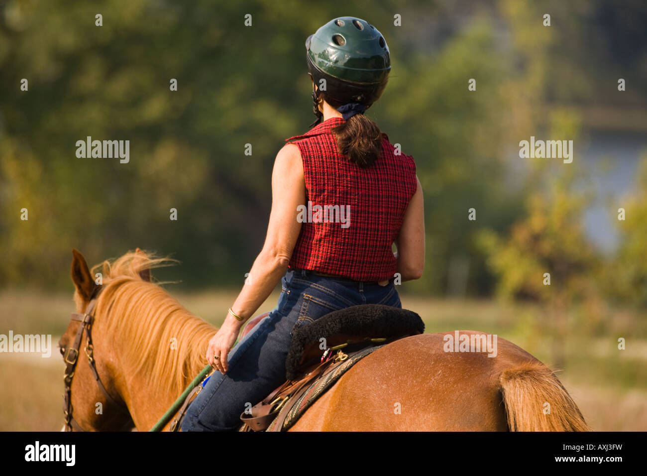 Mujer de Illinois a caballo sobre césped cortado trail a Glen Raven forest preserve, cerca del lago Foto de stock