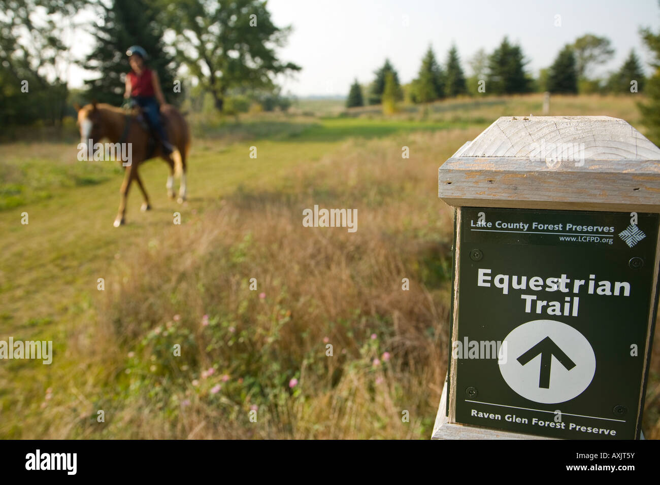 Mujer de Illinois en caballo en sendero de Raven Glen forest preserve sendero ecuestre signo Foto de stock