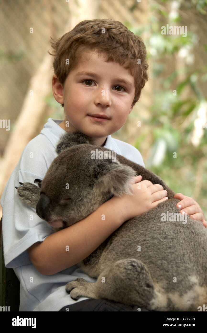 Joven niño sosteniendo un Koala en la reserva de koalas Lone Pine