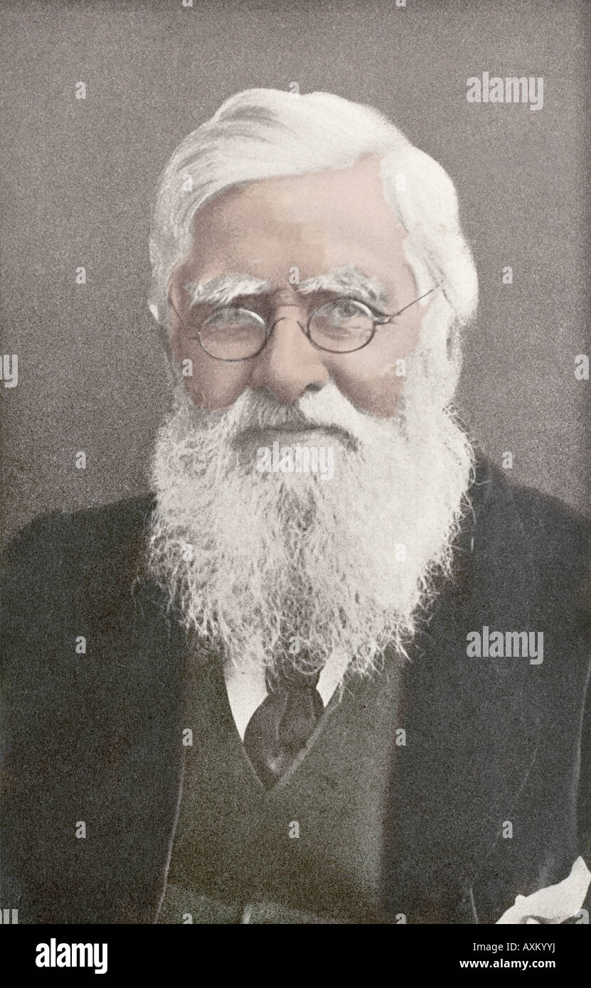 Alfred Wallace Portrait Fotos e Imágenes de stock Alamy