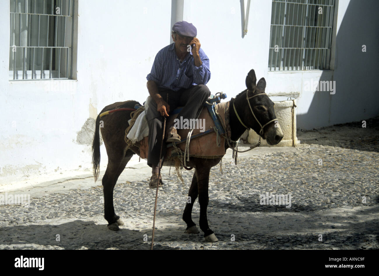 Griego hombre sentado sobre un asno hablando por su teléfono móvil Thira Santorini El Cylcades Grecia Foto de stock
