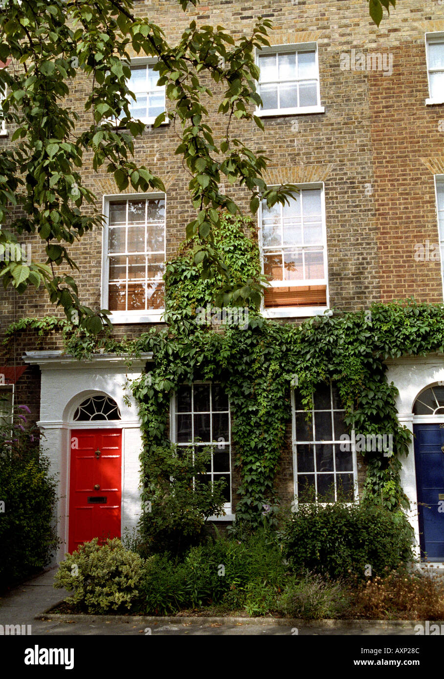 Terraza Georgain casa de un tipo común en Londres, Gran Bretaña Fotografía  de stock - Alamy