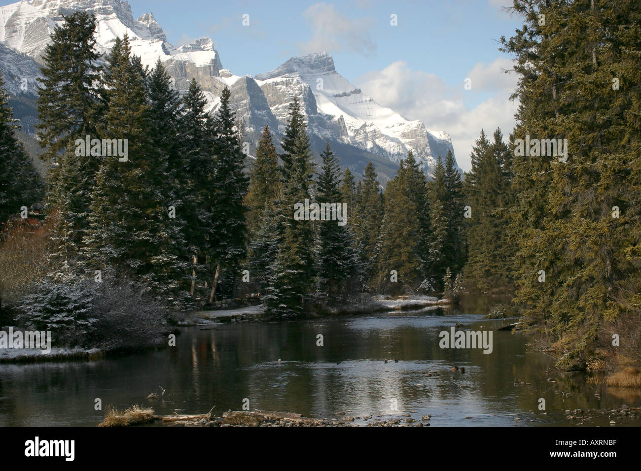 Las montañas: Montañas Rocosas Canadienses Foto de stock