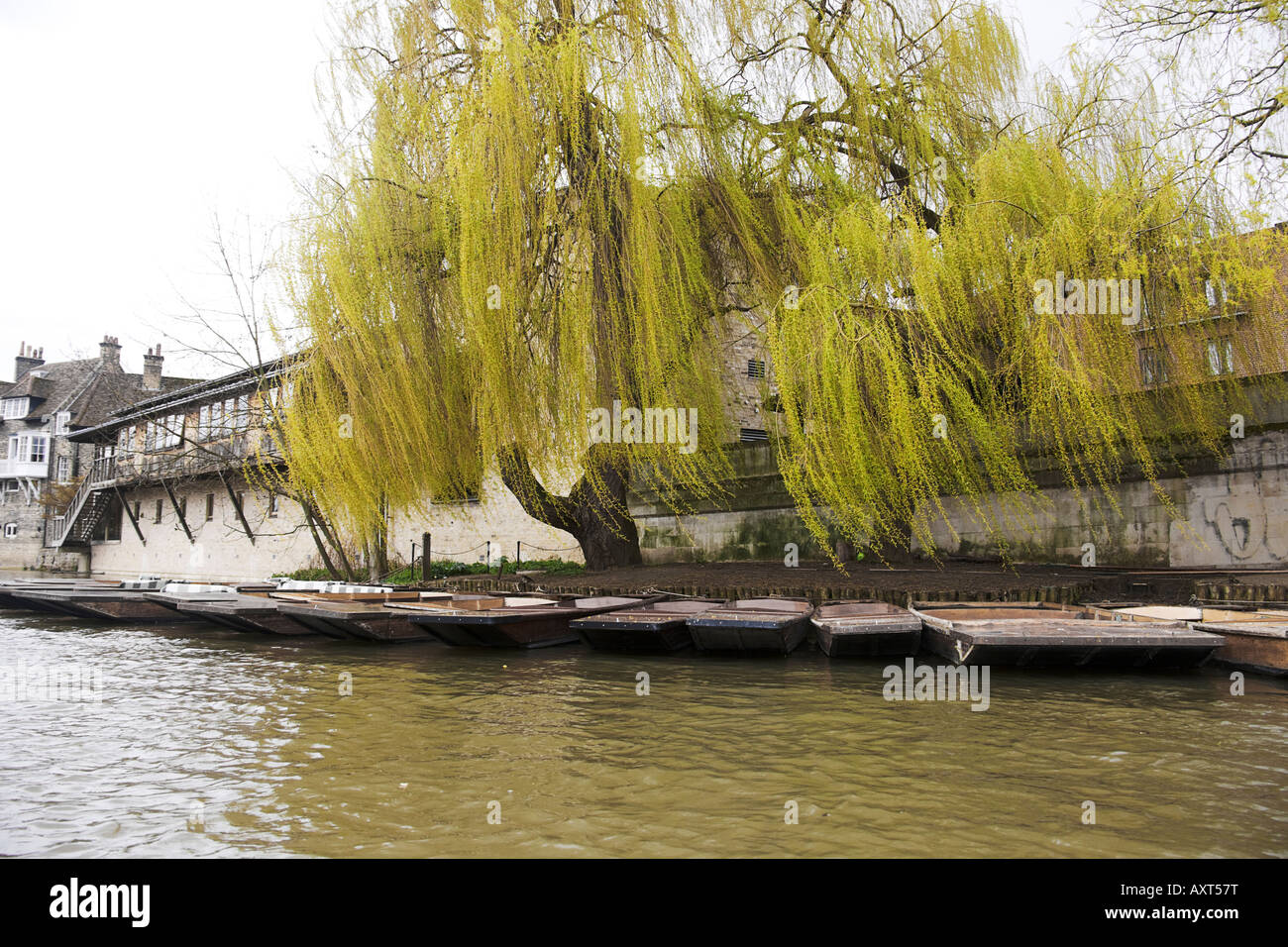 Sauces y punts. Cambridge. Cambridgeshire. East Anglia. En el Reino Unido. Foto de stock