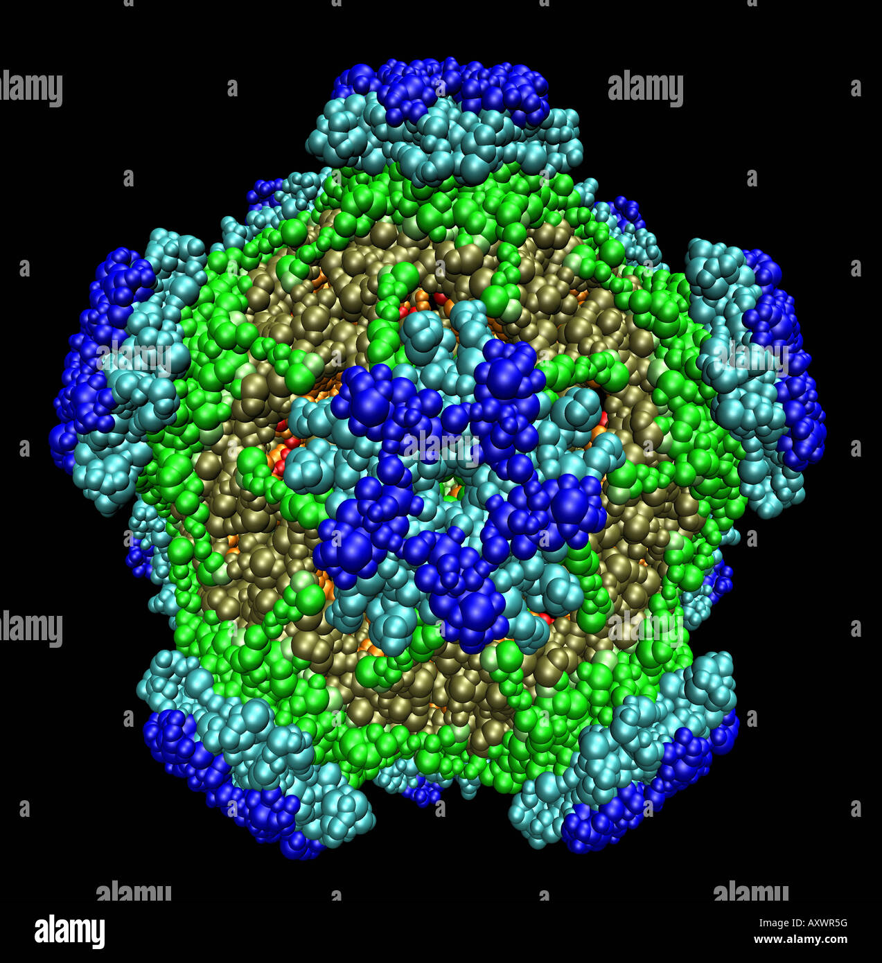 Modelo tridimensional generado por ordenador de virus del papiloma humano,  responsable de causar el cáncer de cuello uterino Fotografía de stock -  Alamy