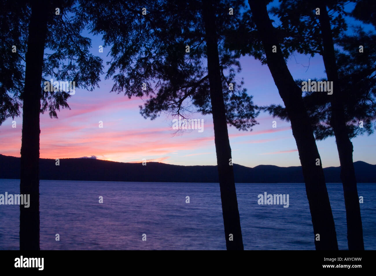 Puesta de sol a través de los pinos, de Lake George, en las montañas Adirondack, Estado de Nueva York, Estados Unidos de América, América del Norte Foto de stock